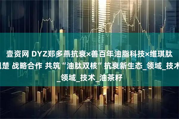 壹资网 DYZ郑多燕抗衰×善百年油脂科技×维琪肽能原料翘楚 战略合作 共筑“油肽双核”抗衰新生态_领域_技术_油茶籽