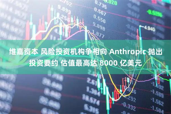 维嘉资本 风险投资机构争相向 Anthropic 抛出投资要约 估值最高达 8000 亿美元